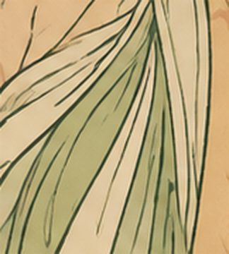 Detail: a sinuous line running through drapery